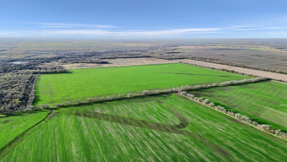 More Photos Of TBD Wall St Rd, Gunter Land For Sale