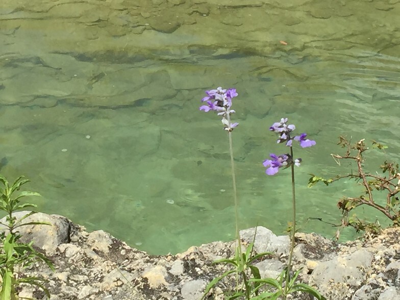 More Photos Of 7070 S US Highway 83, Concan Hotel For Sale