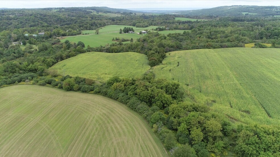 More Photos Of 2349 Fenner Rd, Cazenovia Land For Sale