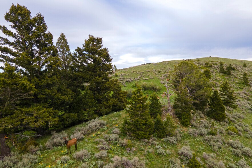 More Photos Of 2 Trail Creek Rd, Bozeman Land For Sale