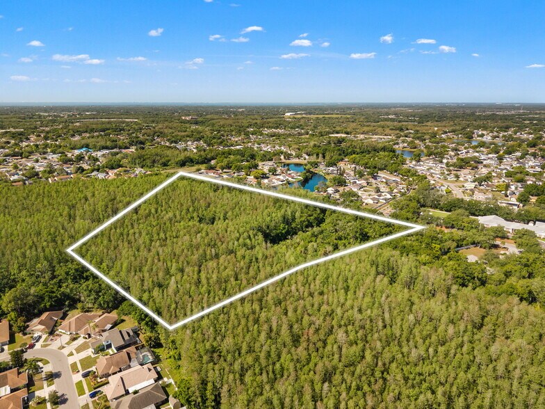 More Photos Of 12591 Henderson Rd, Tampa Land For Sale