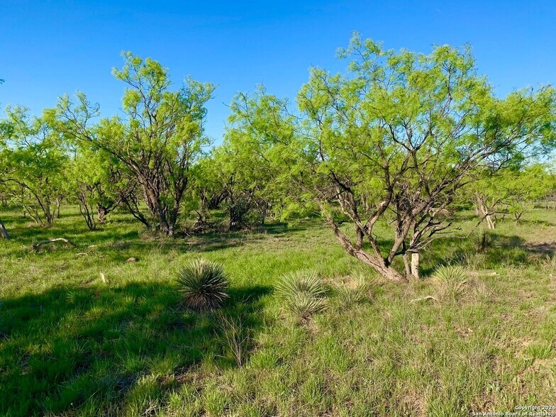 More Photos Of 4703 Scenic Lake Dr, Schertz Land For Sale