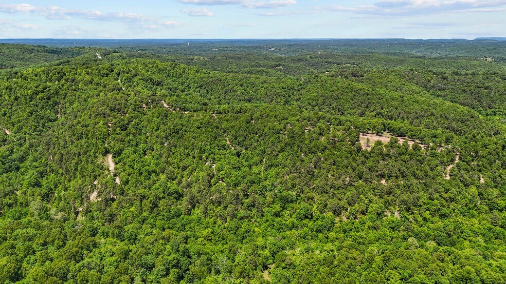 More Photos Of 10 Mint Ridge Rd, Eureka Springs Trailer Camper Park For Sale