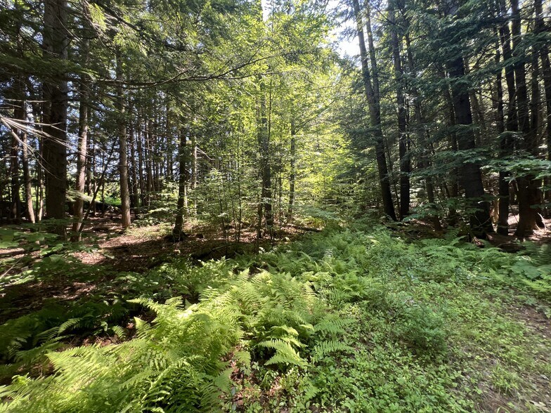 More Photos Of 155 Route 103, Warner Office Residential For Sale