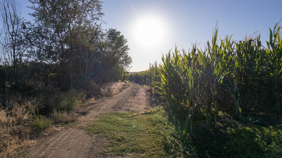 More Photos Of 4473 S Lizard Ln, Melba Land For Sale