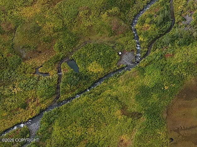 More Photos Of 000 Dutch Creek Gold Mine, Trapper Creek Land For Sale
