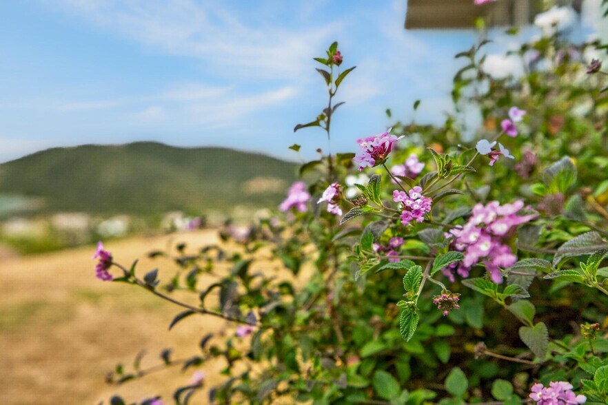 More Photos Of 14621 Woods Valley rd, Valley Center Flex For Sale