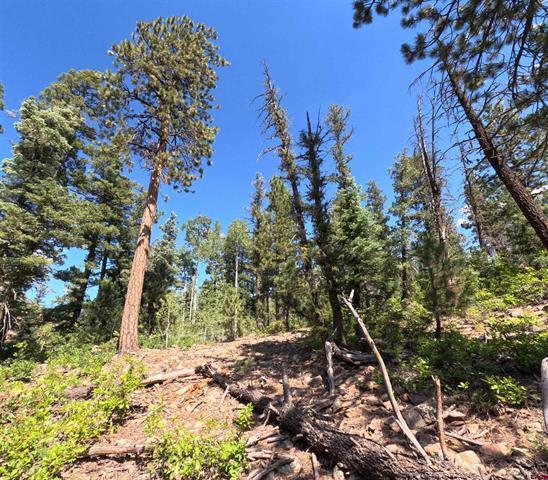 More Photos Of 48 Ponderosa Trl, Durango Land For Sale