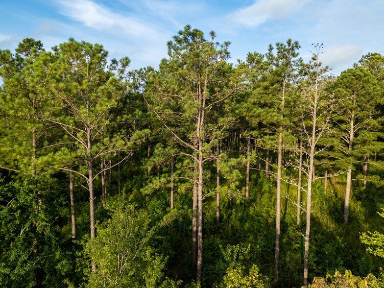 More Photos Of 2199 Roosterville Rd, Roopville Horse Stables For Sale