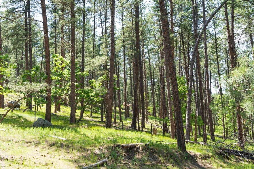 More Photos Of 1201A Old Hill City Rd, Keystone Land For Sale
