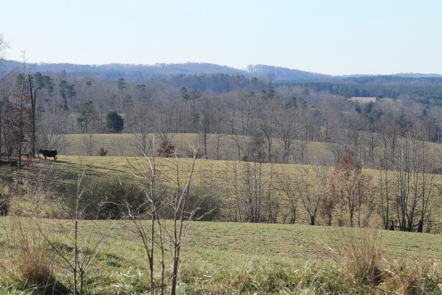 More Photos Of 5690 Rocky Mount Church Rd, Polkton Land For Sale