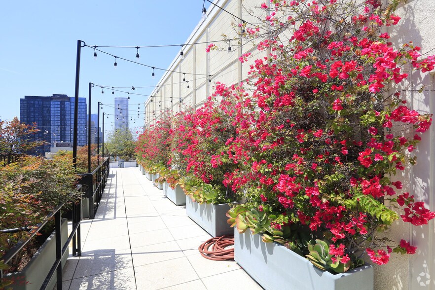 More Photos Of 750 S Broadway, Los Angeles Apartments For Lease