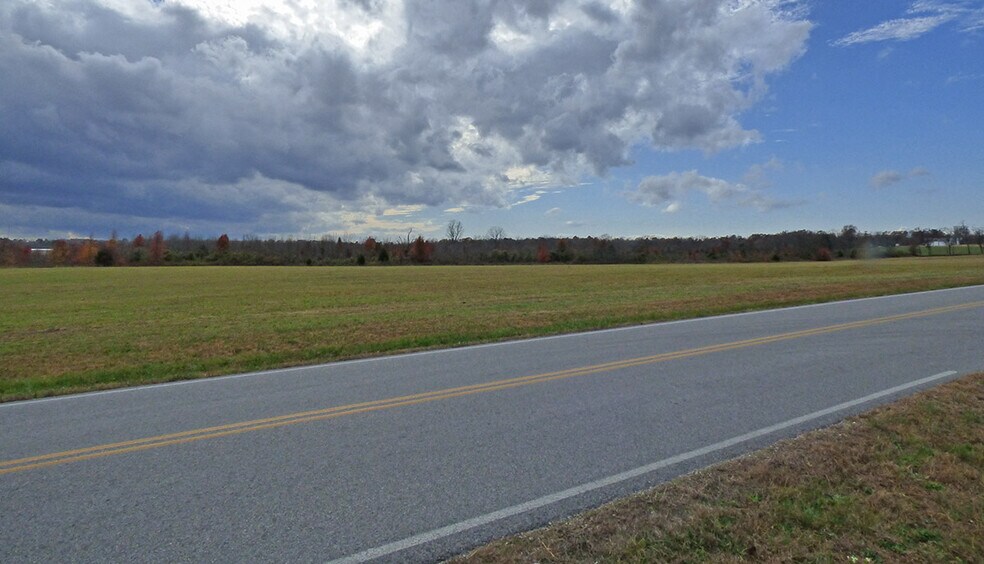 More Photos Of College Dr, Ash Flat Land For Sale