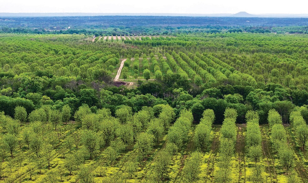More Photos Of 450 County Road 417, Goldthwaite Land For Sale