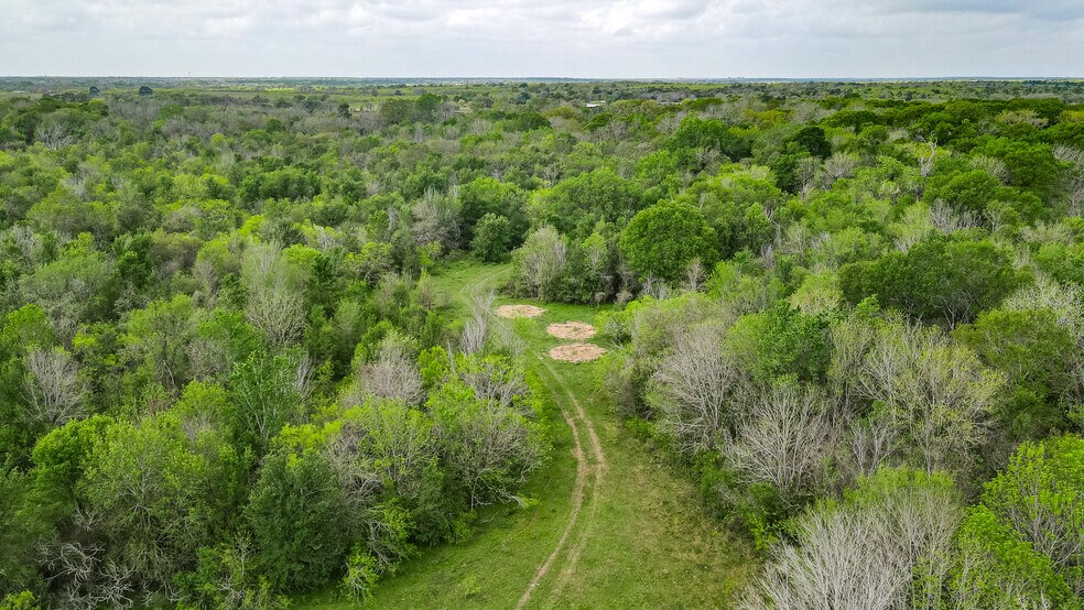 More Photos Of TBD Sparta Field Road, Waelder Land For Sale