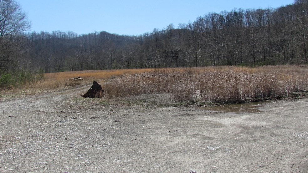 More Photos Of 0 Mccorkle Rd, Alum Creek Land For Sale