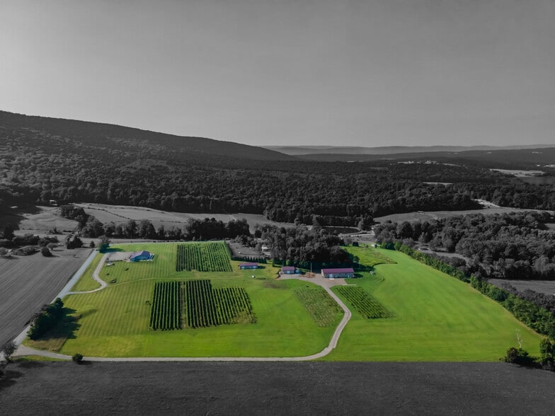 More Photos Of 596 Harman Rd, Halifax Winery Vineyard For Sale
