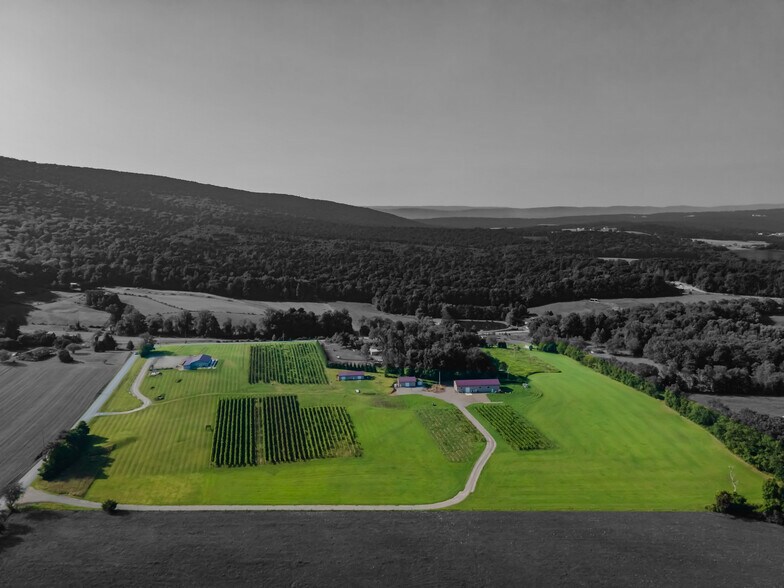 More Photos Of 596 Harman Rd, Halifax Winery Vineyard For Sale