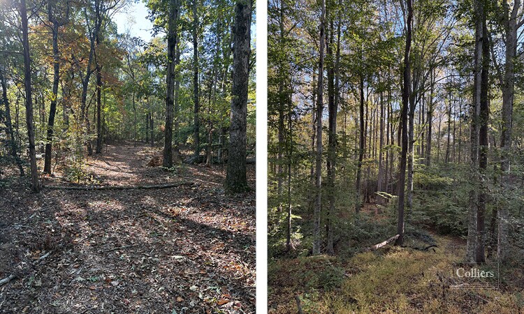 More Photos Of 00 Traynham Rd, Honea Path Land For Sale