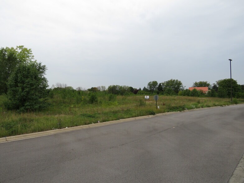 More Photos Of Weber Rd & Carillon Dr, Romeoville Land For Sale