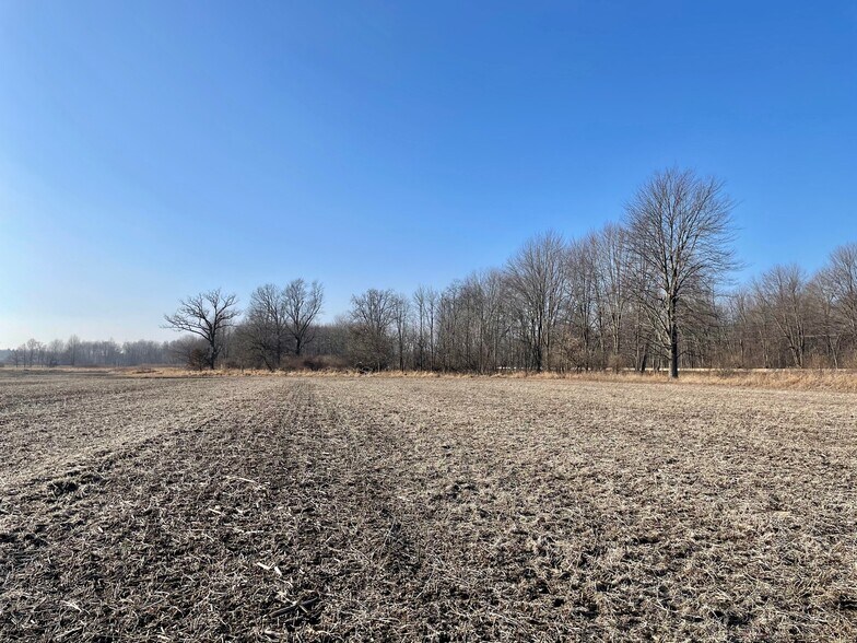 More Photos Of 2001 N Harrington Rd, Parma Land For Sale