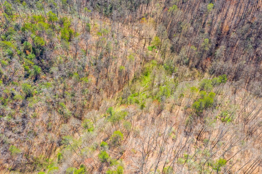 More Photos Of 4300 Parkway, Pigeon Forge Land For Sale