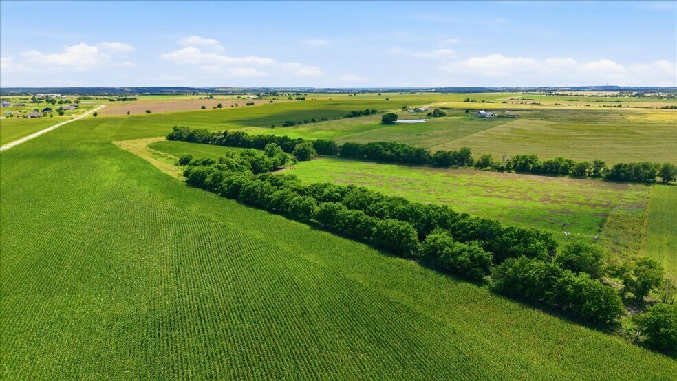 Primary Photo Of County Road 319, Granger Land For Sale