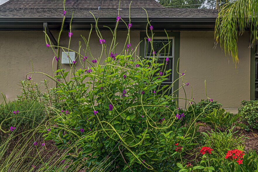 More Photos Of 119 W Plymouth Ave, Deland Unknown For Lease