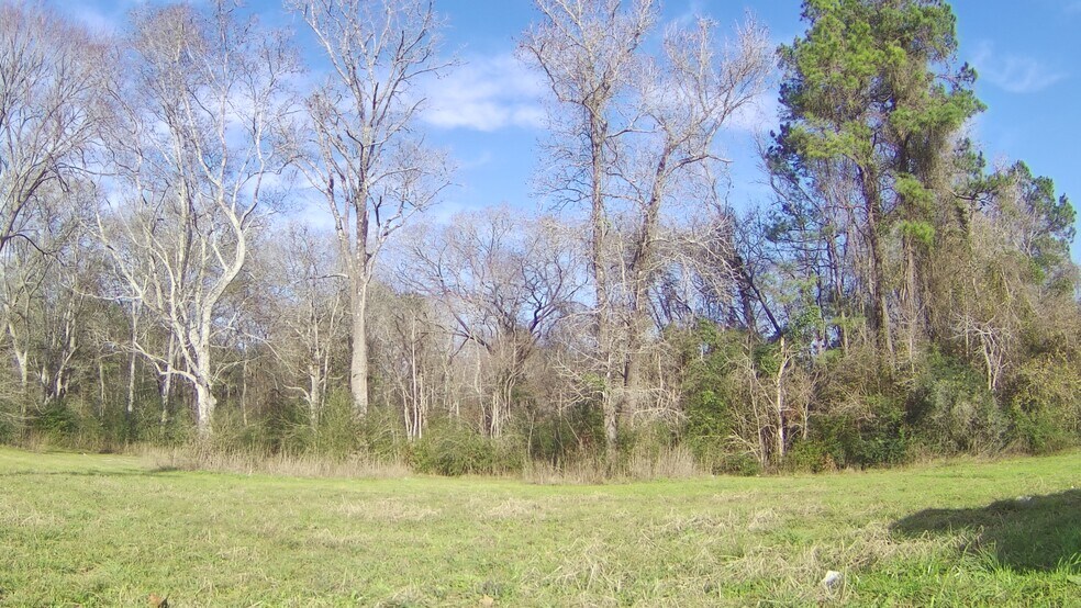 Primary Photo Of 328 W FM 1988, Goodrich Land For Sale