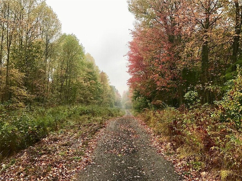 More Photos Of Bryant & SR 82 rd, Garrettsville Land For Sale