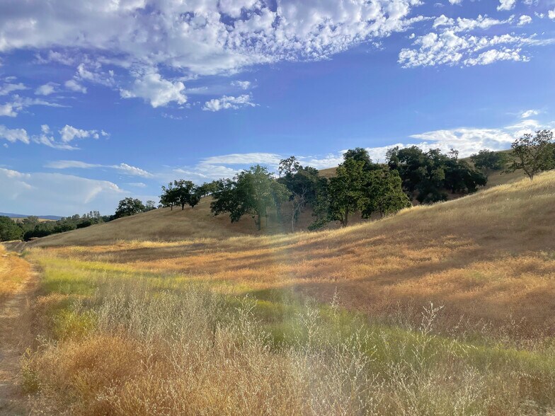 More Photos Of 0 E. 41 Hwy, Templeton Land For Sale