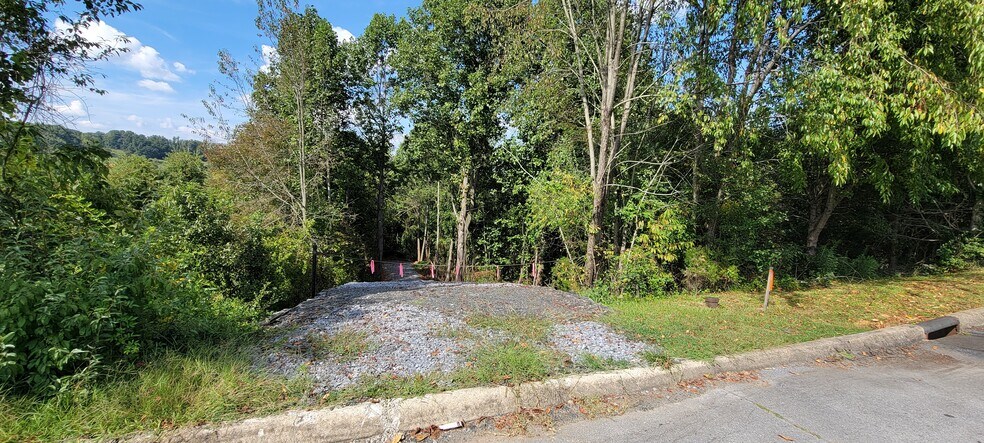More Photos Of Old Boones Creek Rd, Jonesborough Land For Sale