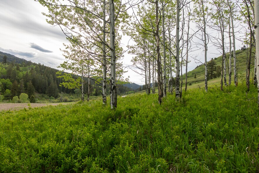 More Photos Of 3 Trail Creek Rd, Bozeman Land For Sale