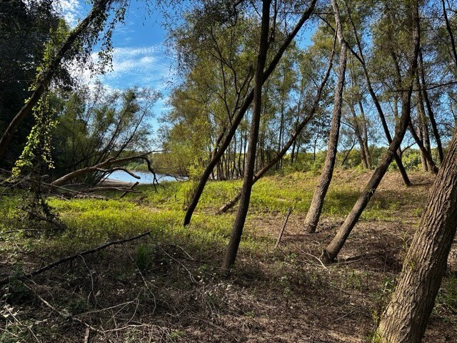 Primary Photo Of TBD TBD Eureka Landing Road, Uriah Land For Lease
