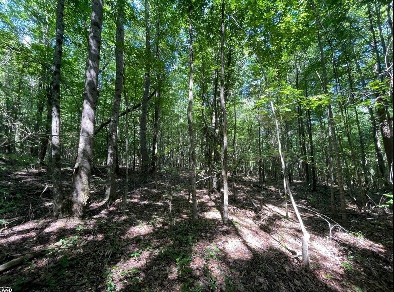 More Photos Of 0 Highway 83 North, Jefferson Land For Sale