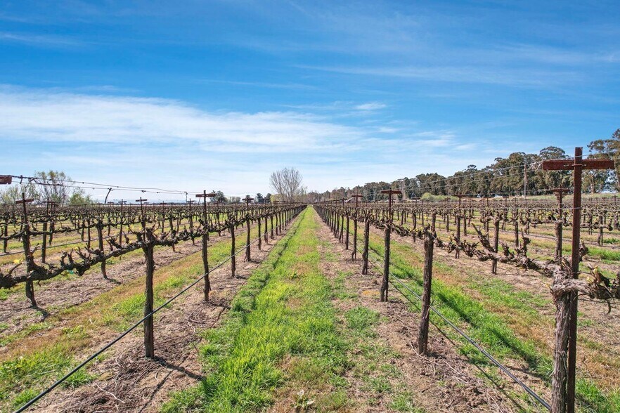 More Photos Of 16550 CA-160, Isleton Land For Sale