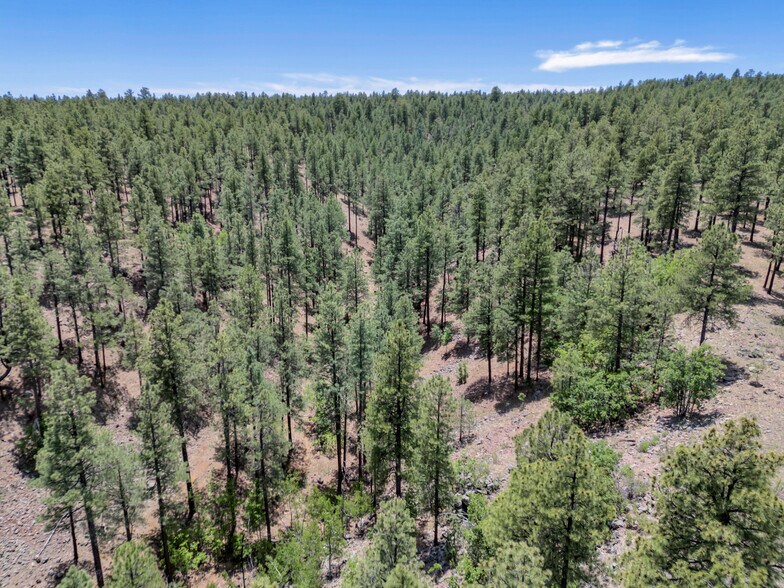 More Photos Of 2251 Kramer St, Flagstaff Land For Sale