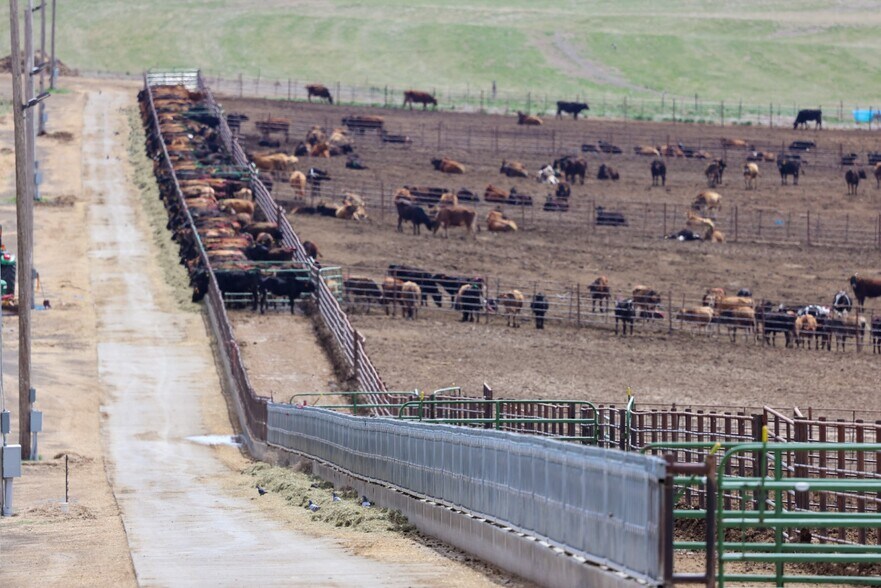 More Photos Of , Burns Land For Sale