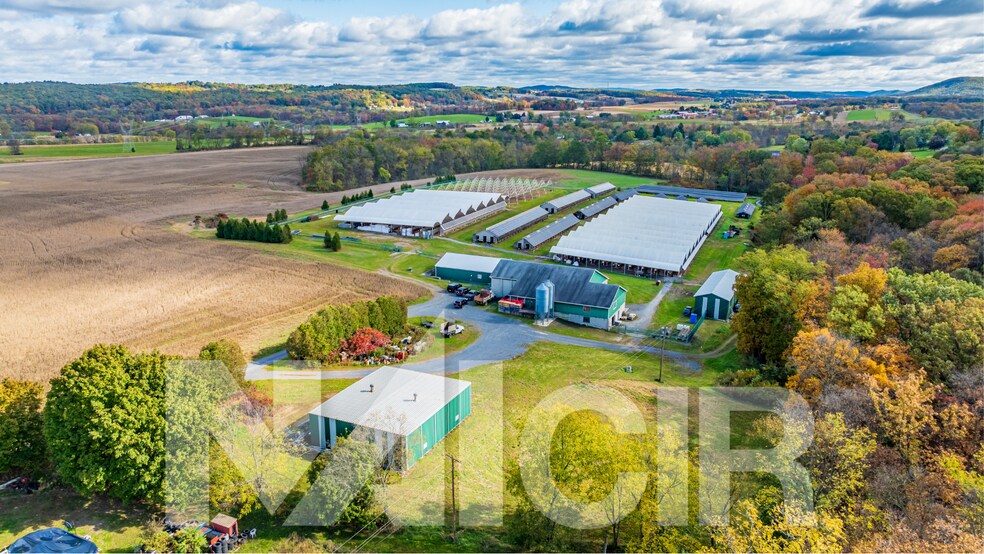 More Photos Of , Sunbury Flex For Sale