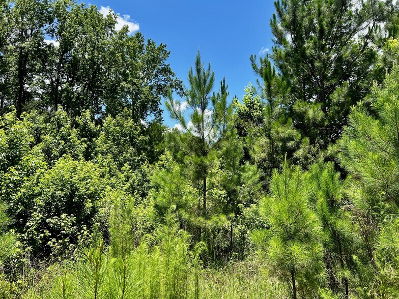 More Photos Of 000 New Kings Road, Jacksonville Land For Sale