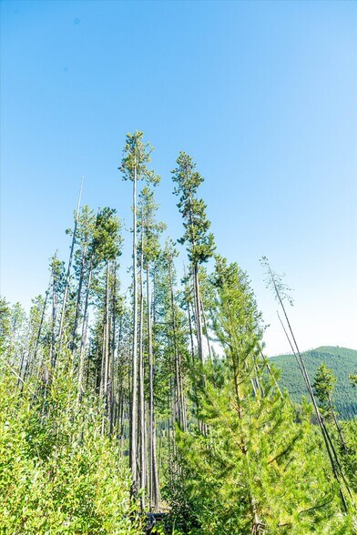 More Photos Of Nhn Logan Creek Road, Kila Land For Sale