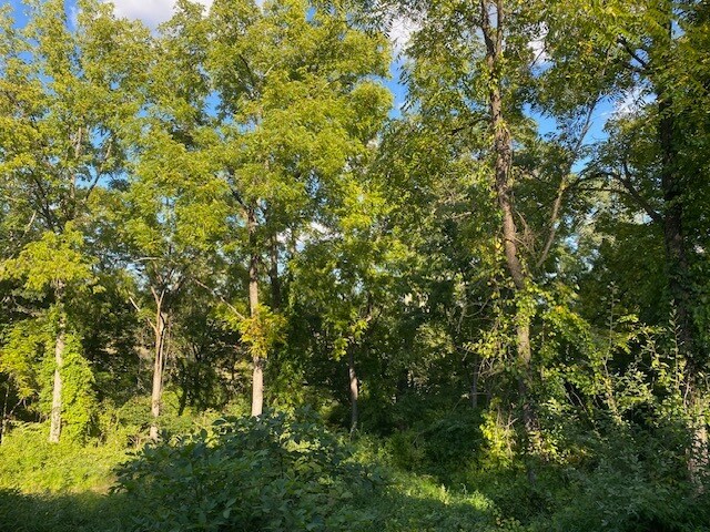 More Photos Of 152 Lily Lake Rd, Highland Land For Sale
