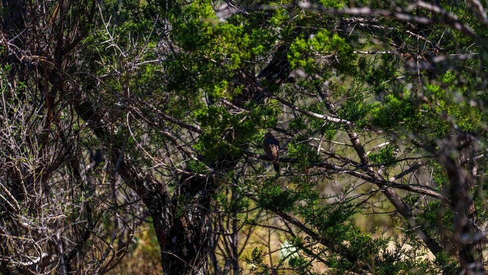 More Photos Of TBD Hwy 71, Fredonia Land For Sale