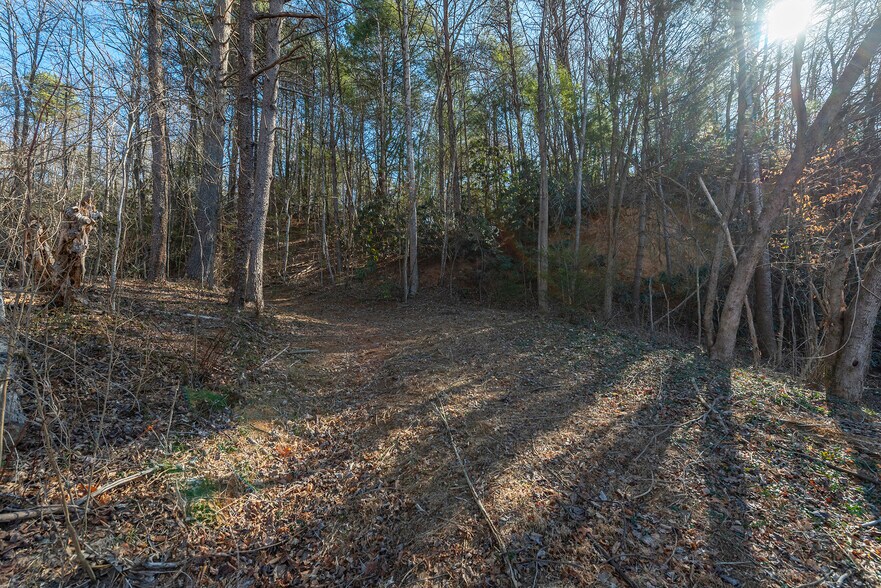 More Photos Of 717 Bat Cave Rd, Old Fort Land For Sale