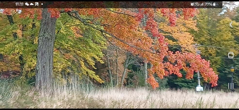 More Photos Of , Catskill Unknown For Sale