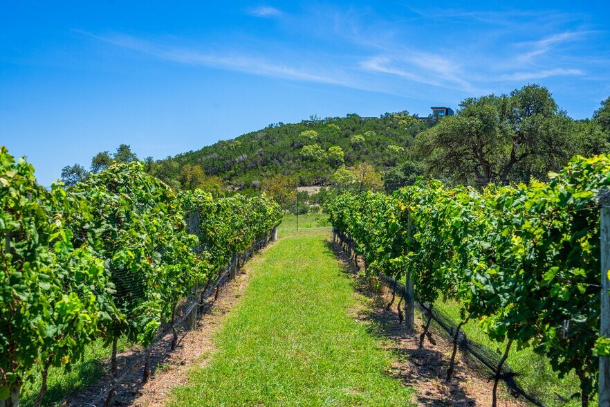 More Photos Of 5081 Bandera Hwy, Camp Verde Winery Vineyard For Sale