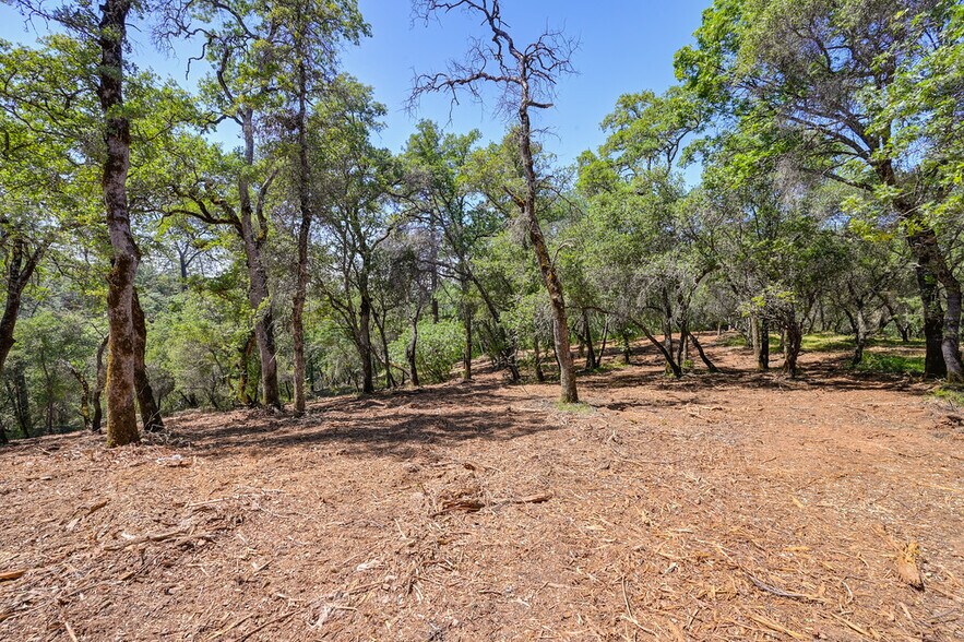 More Photos Of 10650 Werner Rd, Auburn Land For Sale