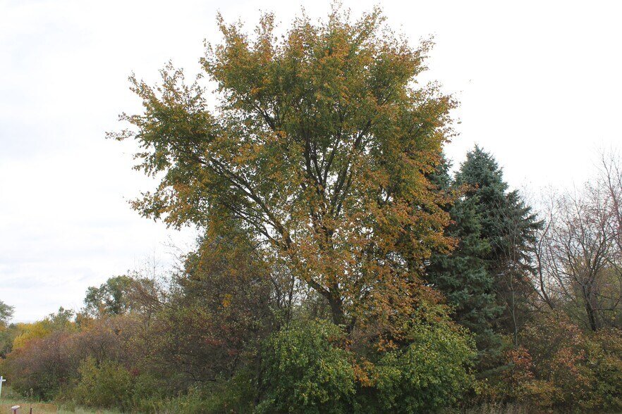 More Photos Of 0 Fabyan Pky, Elburn Land For Sale