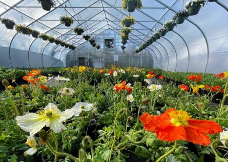 Primary Photo Of 886 Rt-25a & Radio Ave, Miller Place Land For Sale