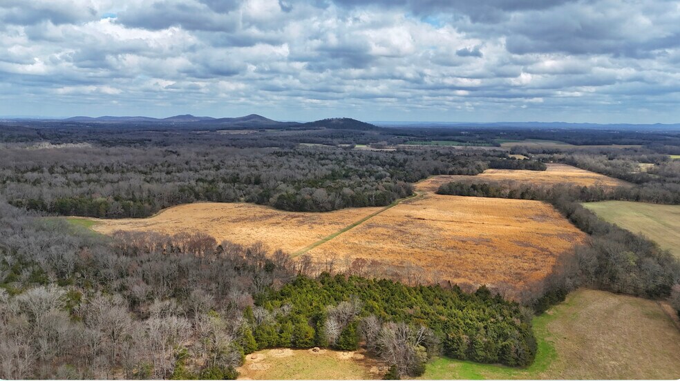 Primary Photo Of 0 Bunker Hill Rd., Eagleville Land For Sale